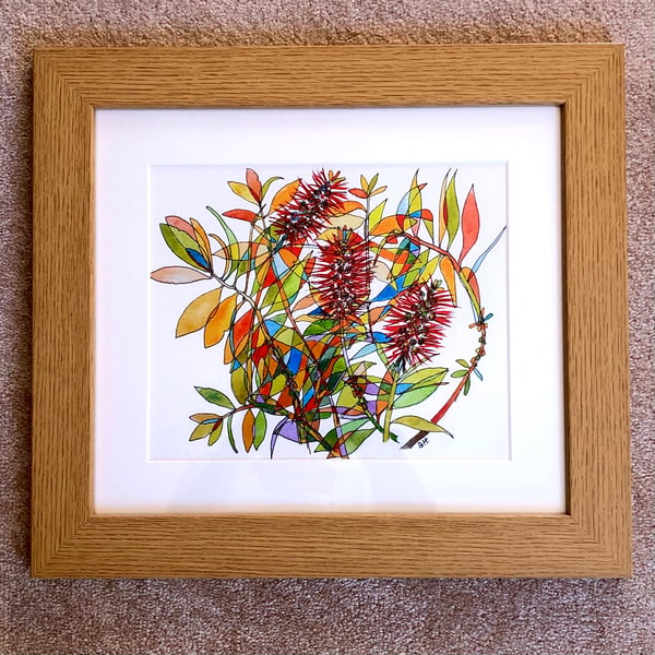 FRAMED BOTTLEBRUSH GICLEE PRINT OF AN ORIGINAL WATERCOLOUR