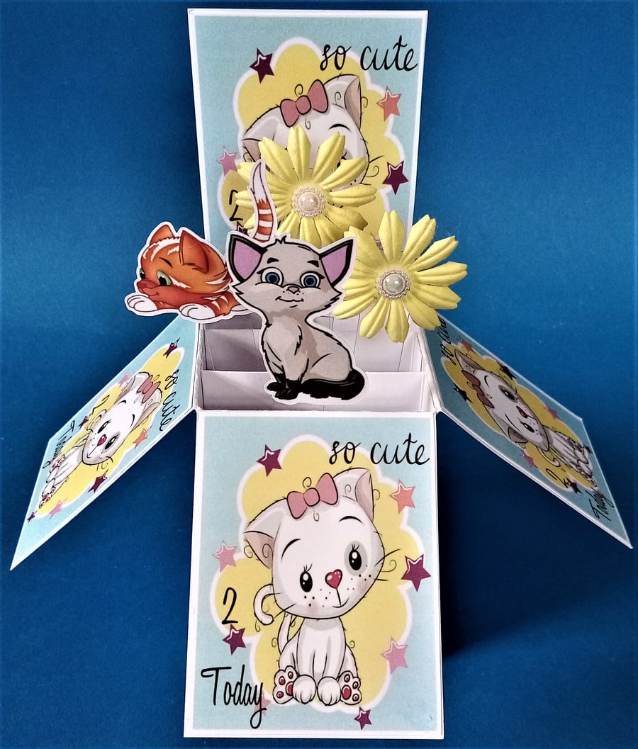 Girls 2nd Birthday Card with cats