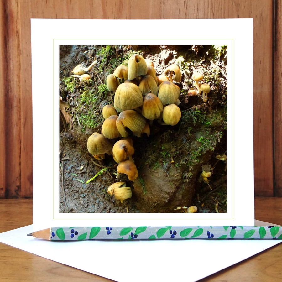 'Into the Woods...' woodland greeting card (woodland fungi)