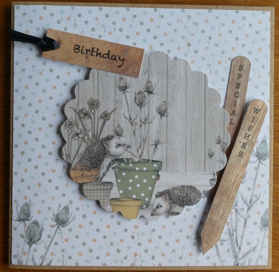 Hedgehog Birthday Card