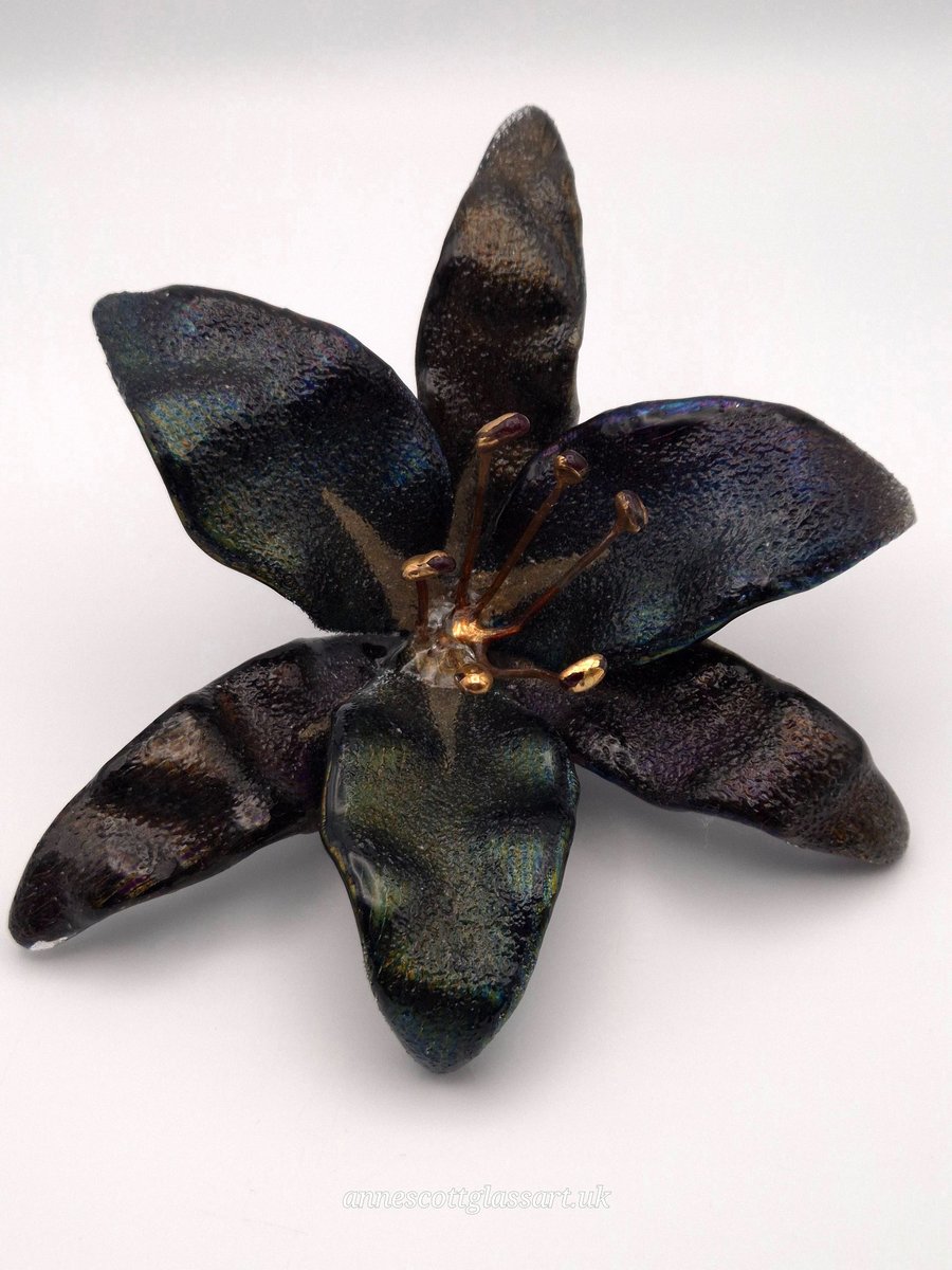 Handmade Fused Glass Rainbow on Black Iridescent and Gold Lily with Wall-mount
