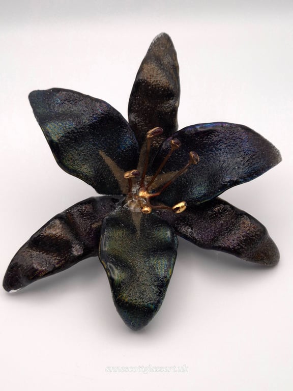 Handmade Fused Glass Rainbow on Black Iridescent and Gold Lily with Wall-mount