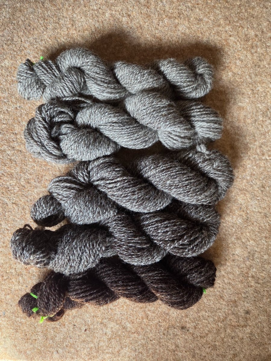 Hand Spun Wool Fade Set