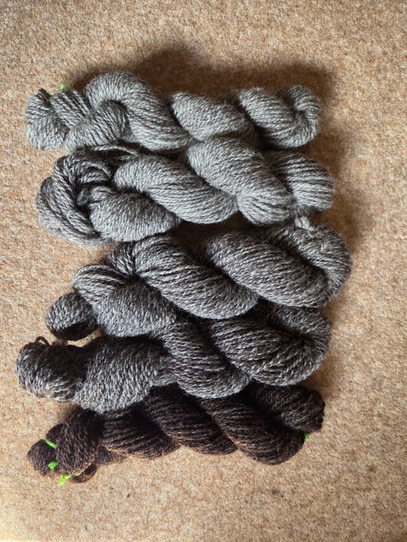 Hand Spun Wool Fade Set