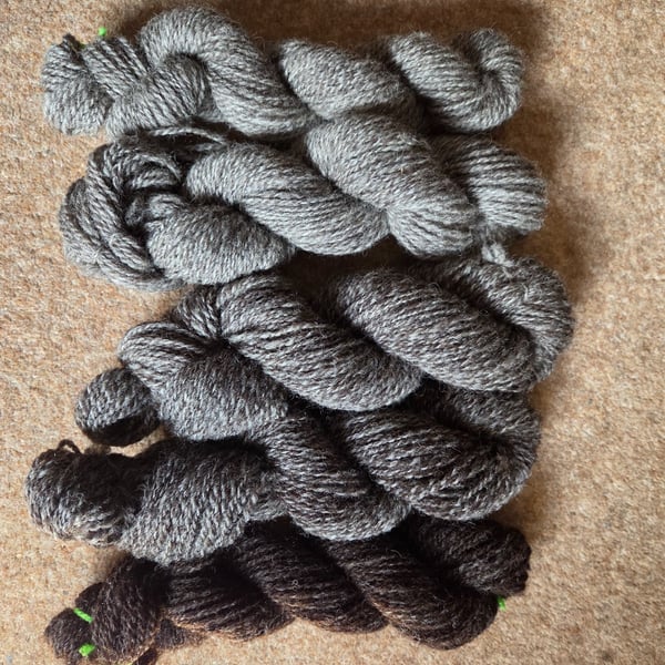 Hand Spun Wool Fade Set