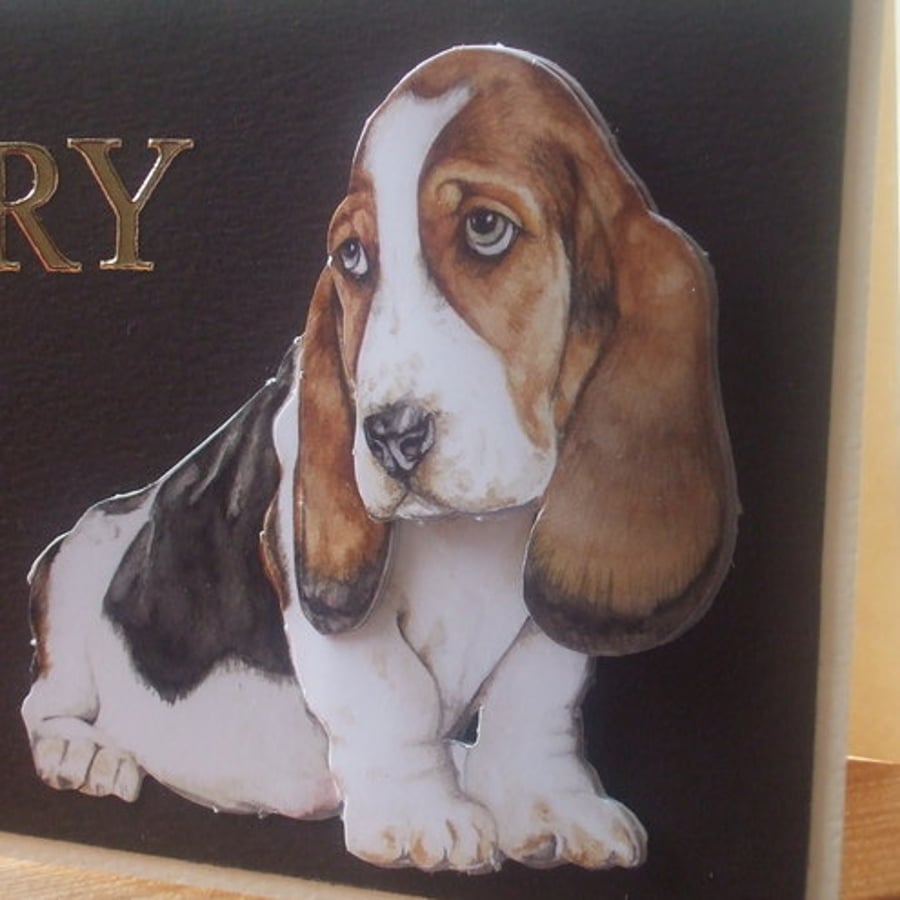 Handmade Sorry Card, Sad Basset Hound 