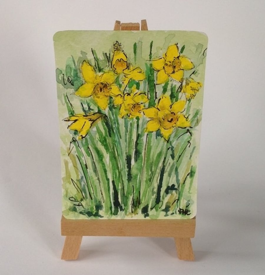Daffodils in Rutland ACEO original watercolour and ink