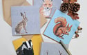 Sale items - discontinued designs, ex-display
