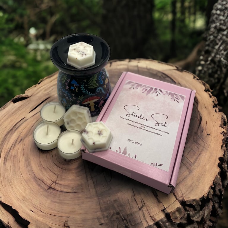 DARK FOREST GIFT Set, Includes Wax Melt Burner and Starter Set
