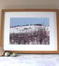 Bramble Hedge original screen print - Super Seconds Festival - Image 3