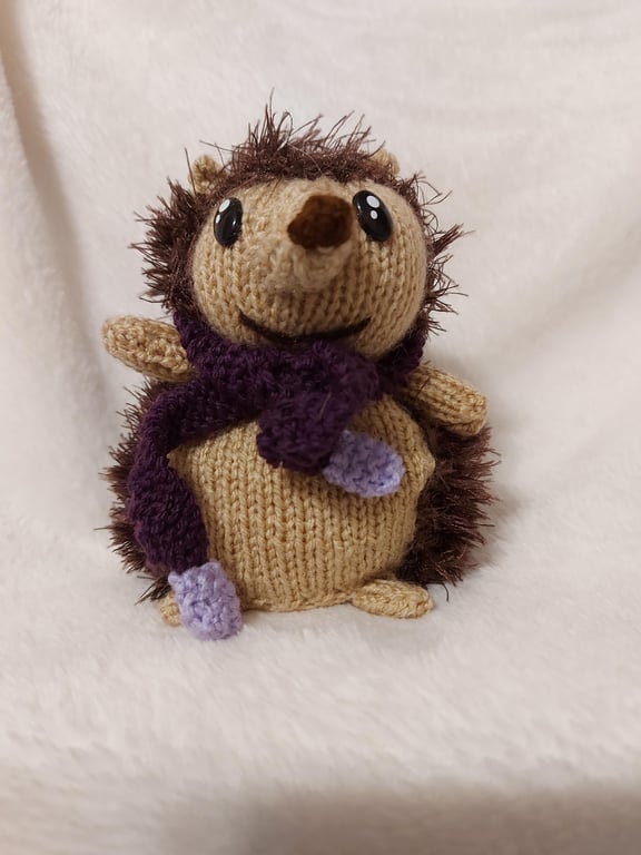 Hedgehog - Chocolate Orange Cover