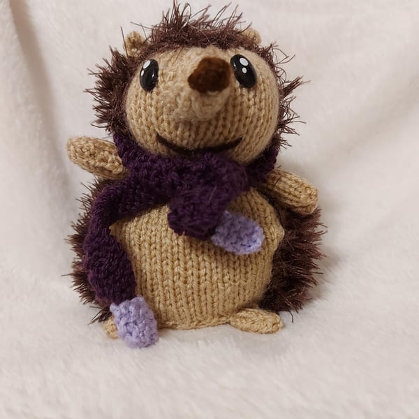 Hedgehog - Chocolate Orange Cover
