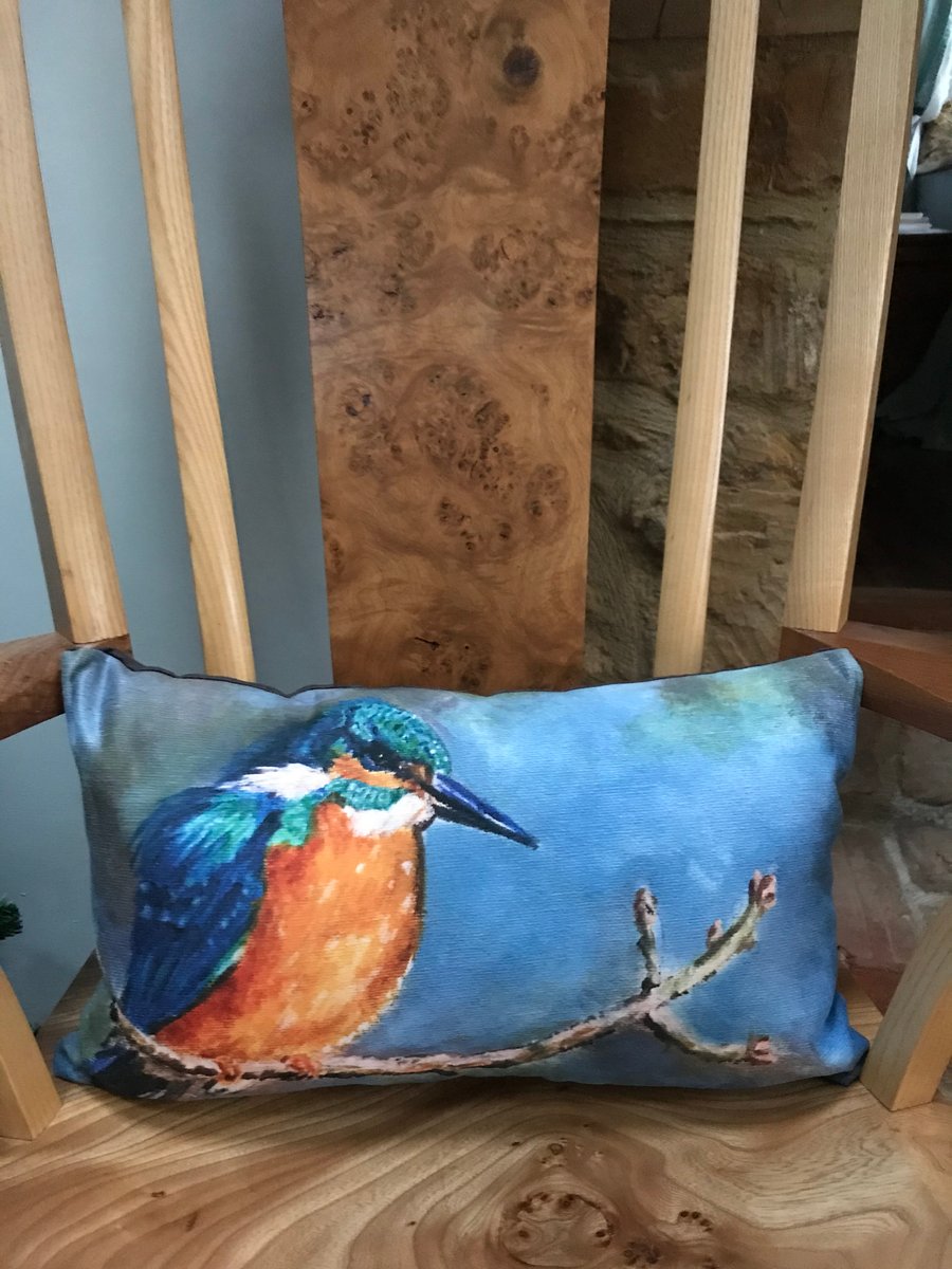 Beautiful kingfisher cushion