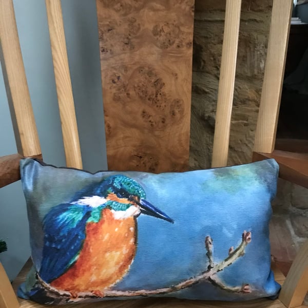 Beautiful kingfisher cushion