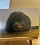 5x7 inch British Seal Card