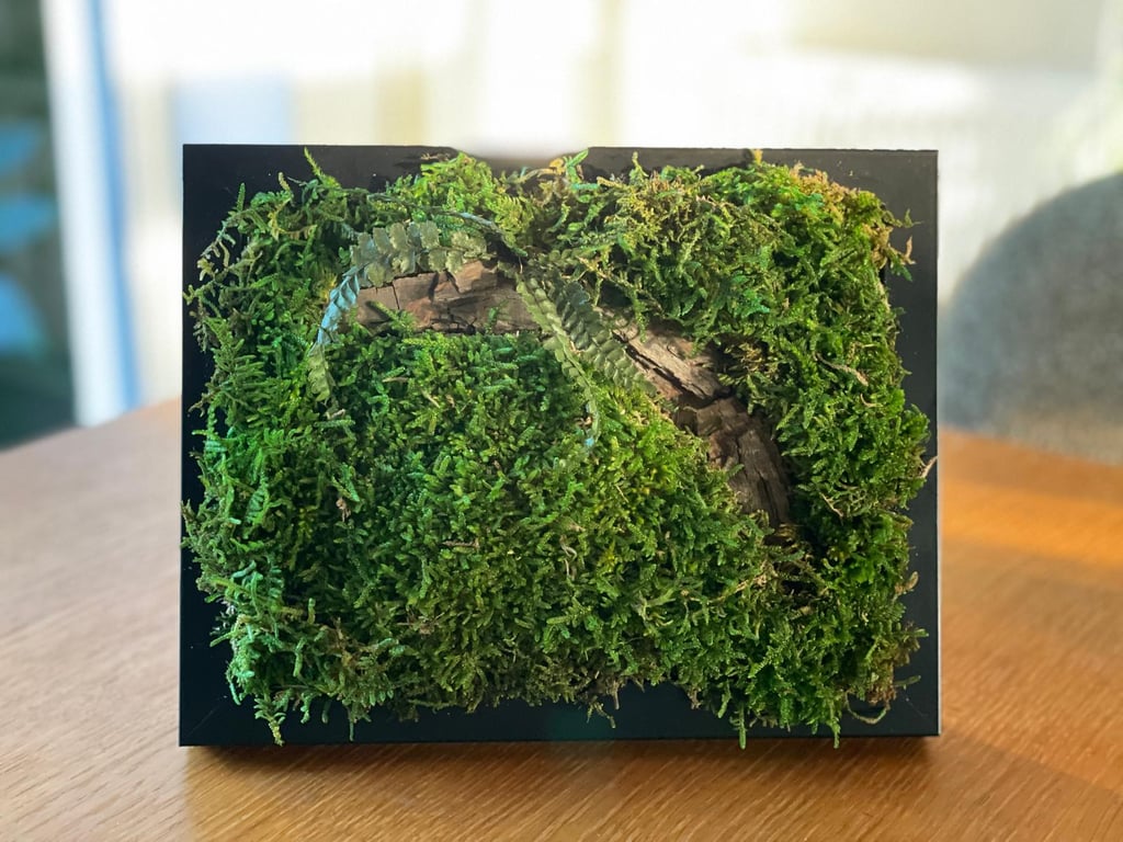 Framed Forest Vignette 