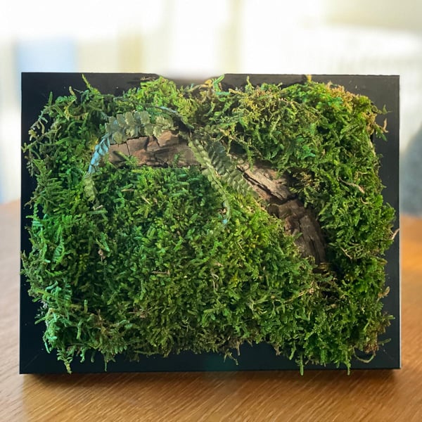 Framed Forest Vignette 