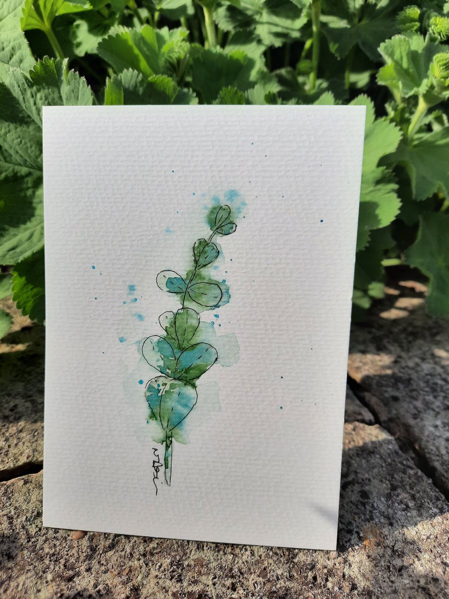 Original Eucalyptus Watercolour Art