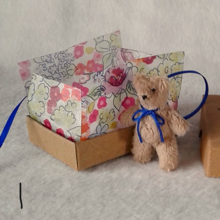 Tiny ted in a box, letterbox gift 'random act of tiny furry kindness'