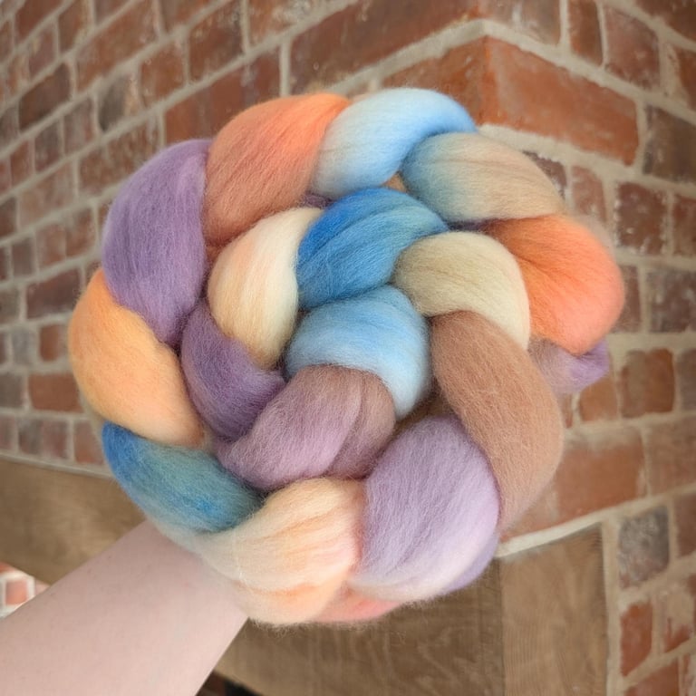 Hand Dyed Polwarth Top 113g Spinning Fibre - Back Home