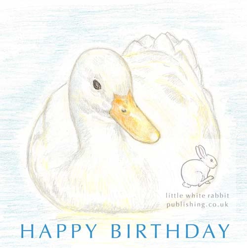 White Duck - Birthday Card