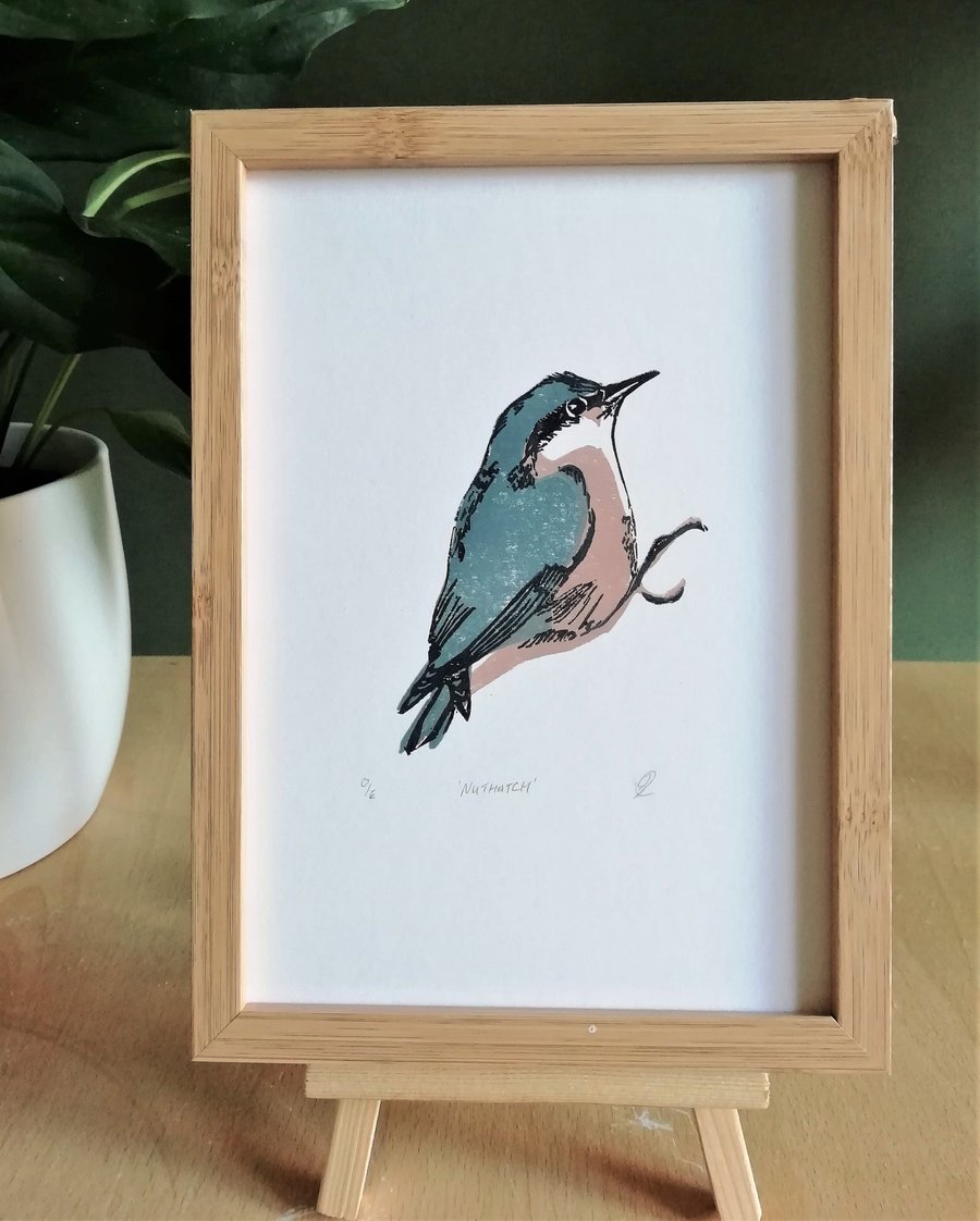 Nuthatch