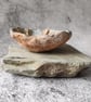 Sea Fossil Dish, Clay Pastel Trinket Bowl, Handmade Ceramic Vessel - Image 7