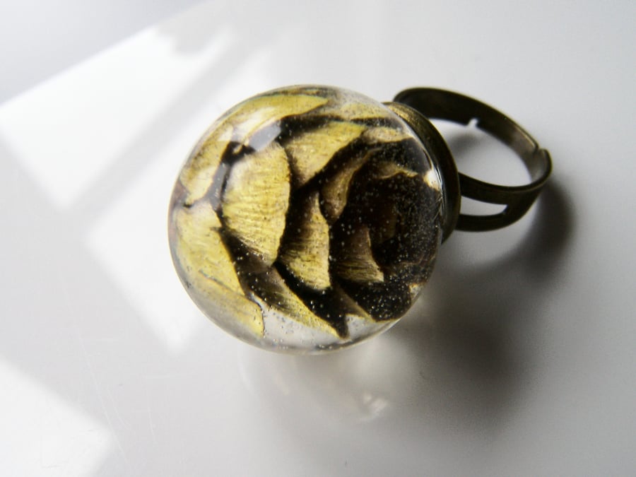 Real Autumn Pine Cone Ring, Resin Orb Ring