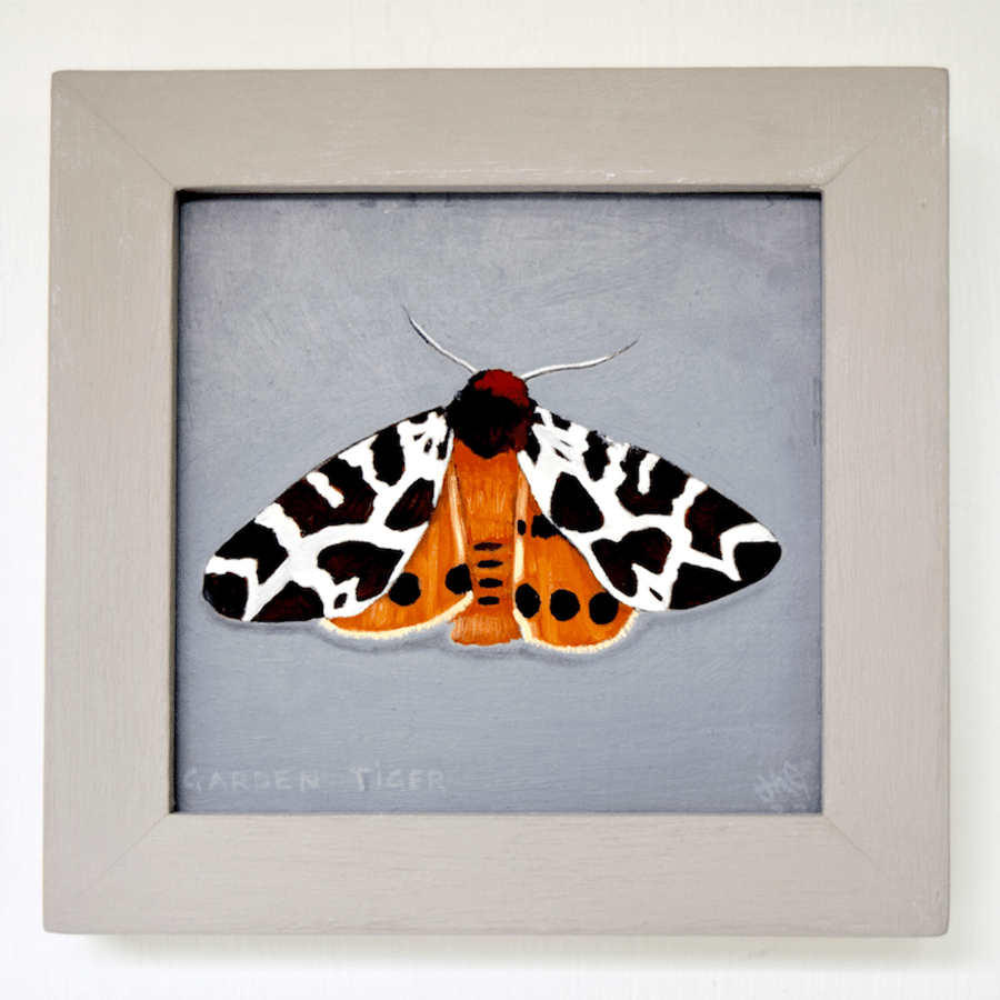 Garden Tiger Moth