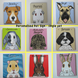 Personalised Pet Sign customised rabbits guinea pigs cats dogs sml top holes P