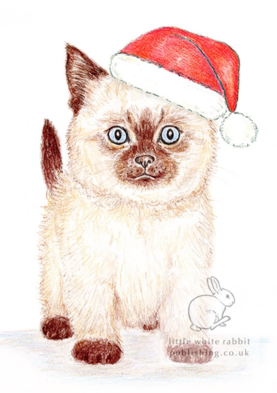 Minnie the Kitten - Christmas Hat Card