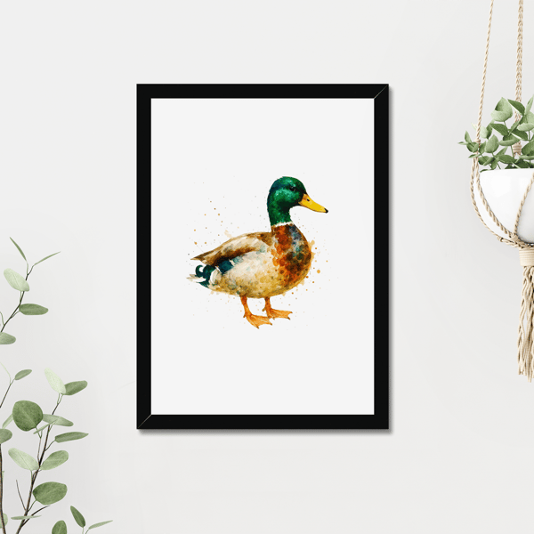 Mallard Duck Watercolour Print - A5 to A3 Giclee Print (Unframed)