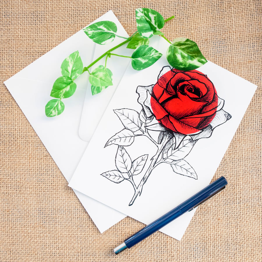 Red Rose Flower Greetings Card Romantic Anniversary Illustrated Card
