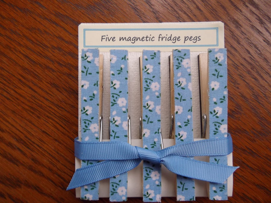 Five Fridge Magnet Pegs