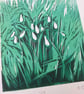 Snowdrops - Image 2