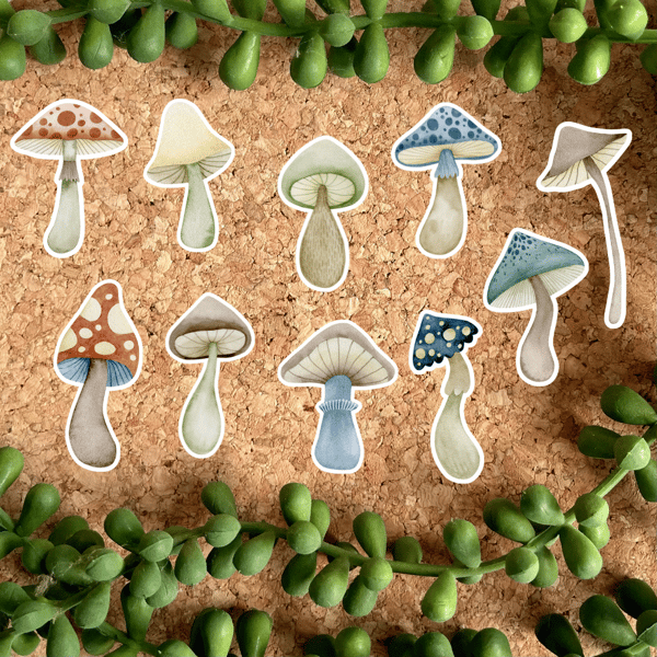 Set of 10 Watercolour Mushroom & Toadstool Large Glossy Stickers
