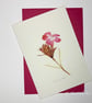 Dianthus Pontederae Botanical Greeting Card – Pinks & Greens Collection - Image 5