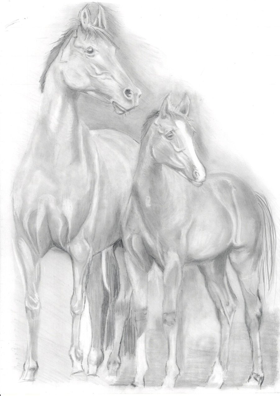 A beautiful mum ans foul