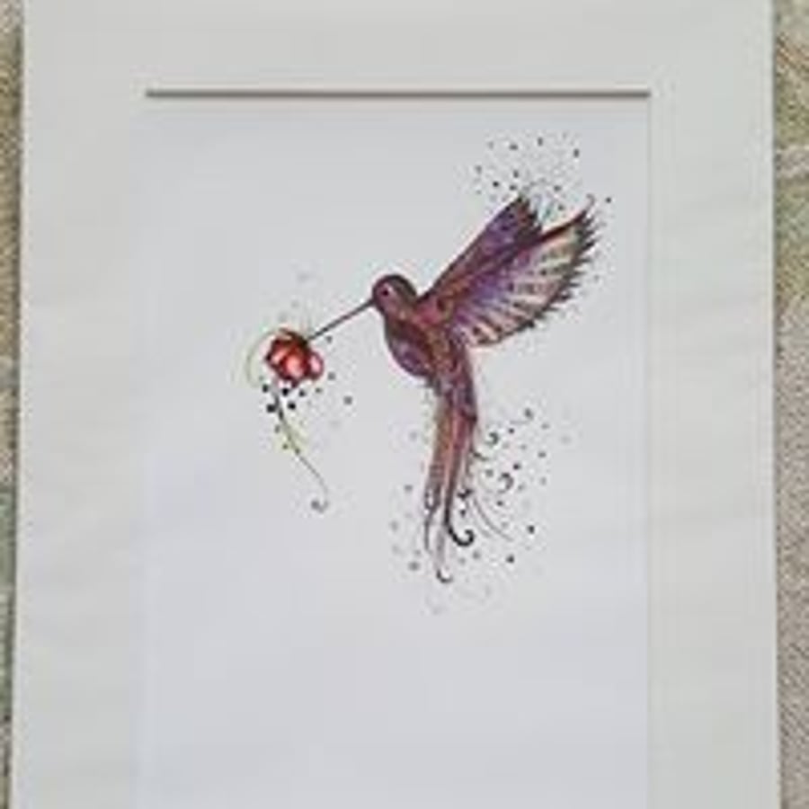 Pink Hummingbird 12 x 10'' mounted, ready to frame limited edition print
