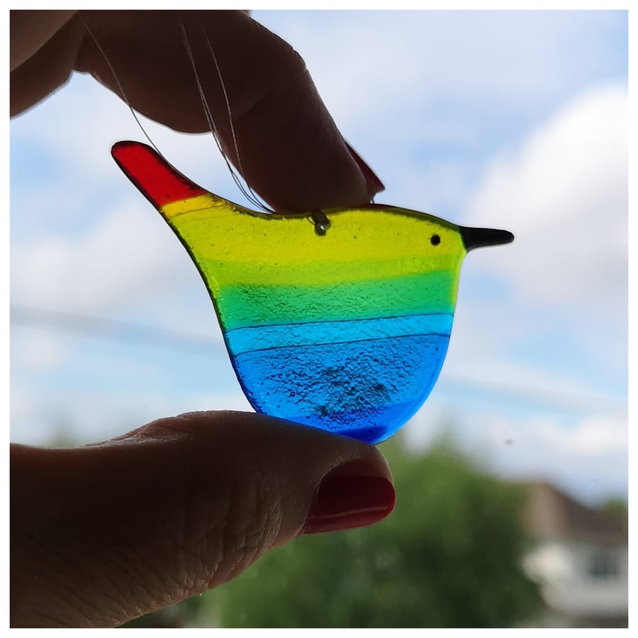 small 'Rainbow Wren of Hope' bird with red tipped tail