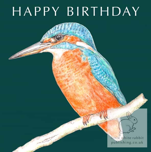 Kingfisher - Birthday Card
