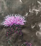 Plants for pollinators - Creeping Thistle - Cyanotype & stitch - Eco Textile Art - Image 7