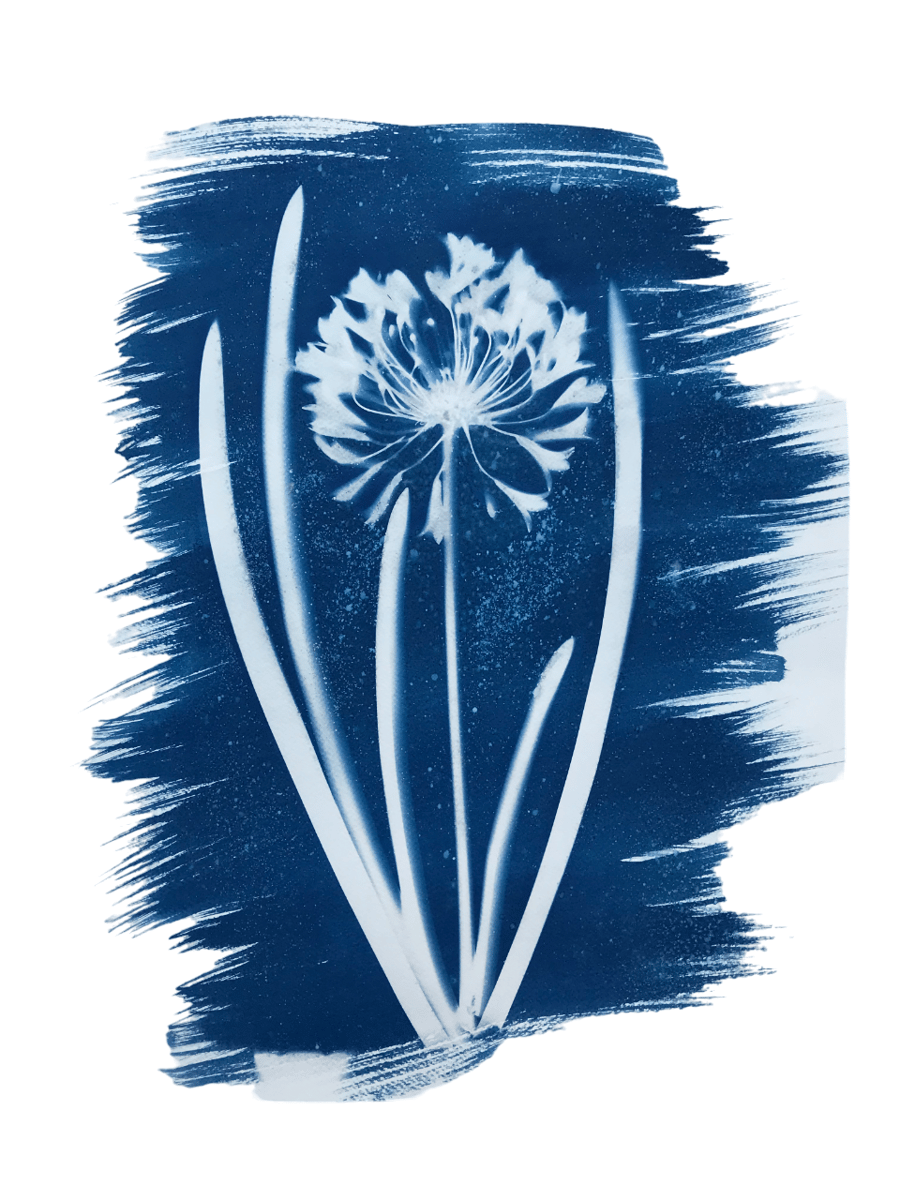 Summer Art, Botanical Art, Cyanotype Art, Ideal Gift.