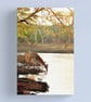 Giraffe Zulu Nyala Game Reserve South Africa Photograph Print - Image 5