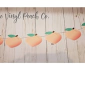 The Vinyl Peach Co.