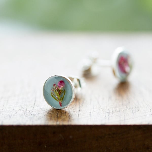 Tiny Real Flower Earrings - Baby Blue Rose Earrings Heather Earrings Pressed Flo