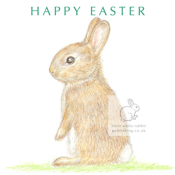 Little Wild Rabbit - Easter Card