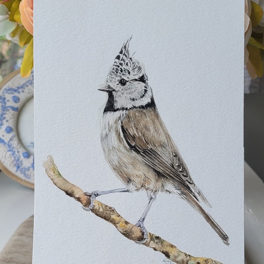 ORIGINAL watercolour painting signed, crested tit bird , Wildlife , NOT a PRINT 