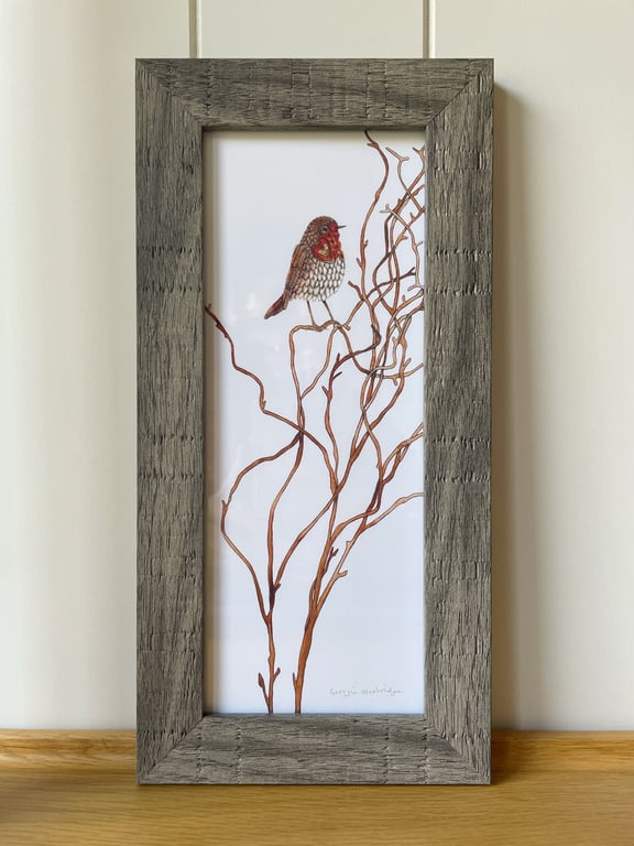 'Little Robin' 10" x 4" Framed Print