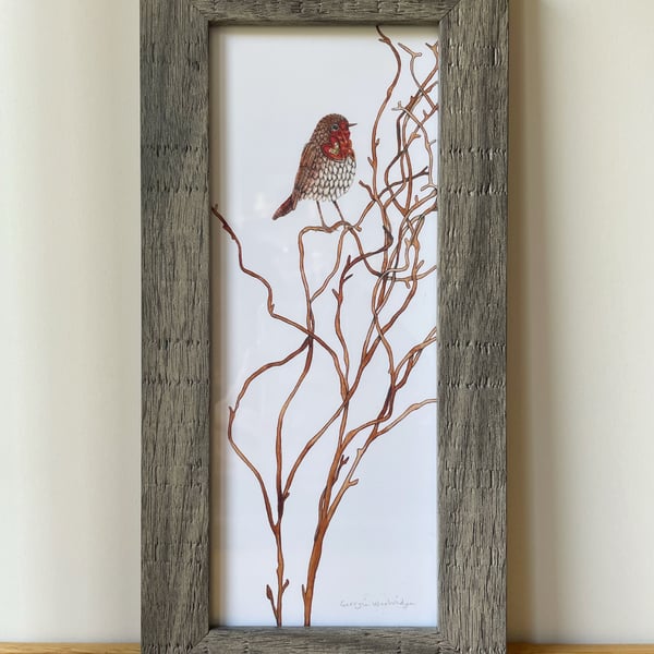 'Little Robin' 10" x 4" Framed Print